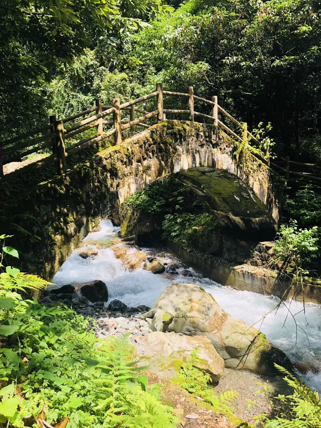 超级马里奥奥德赛